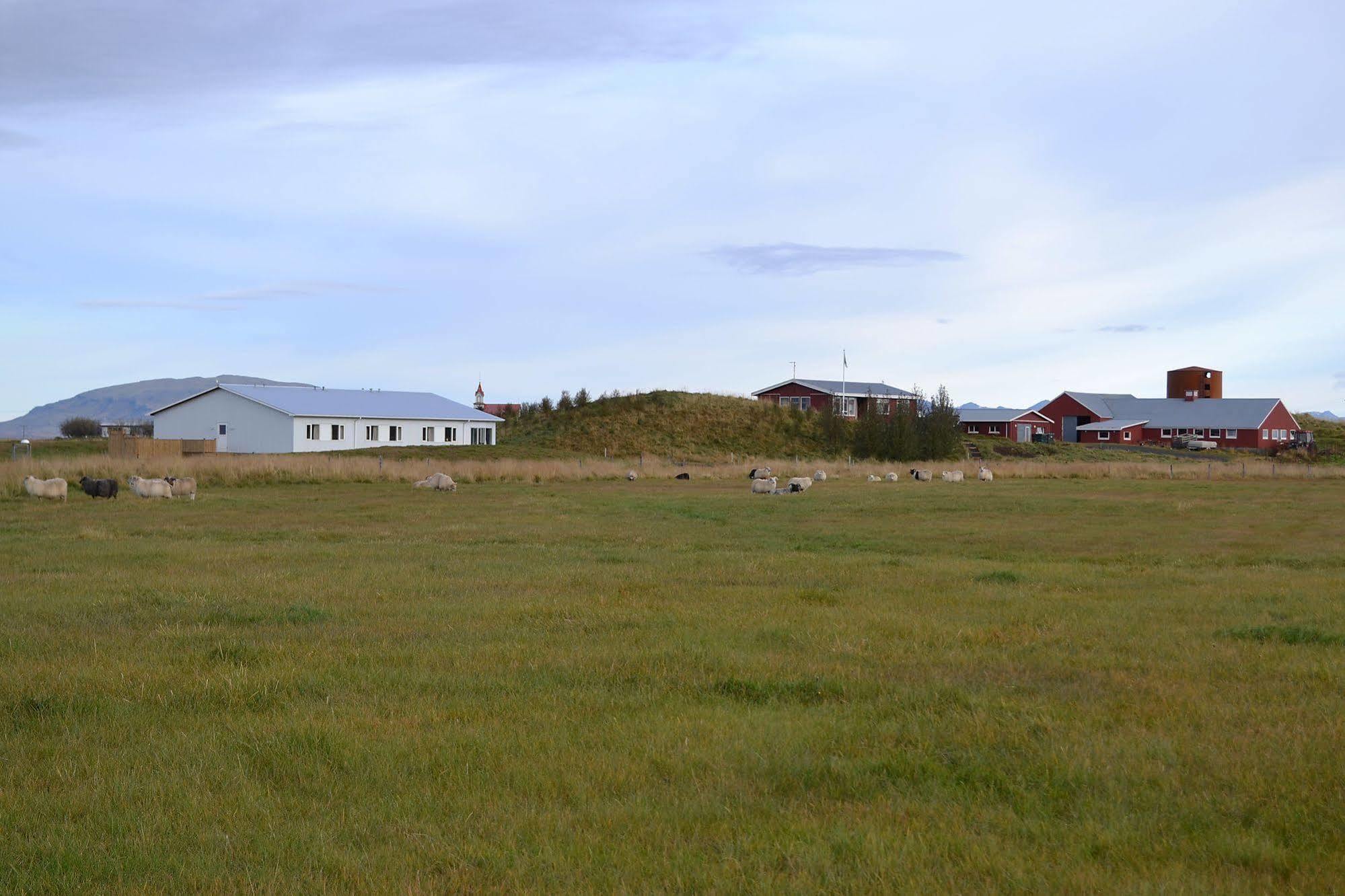 Lambastadir Guesthouse Selfoss Extérieur photo