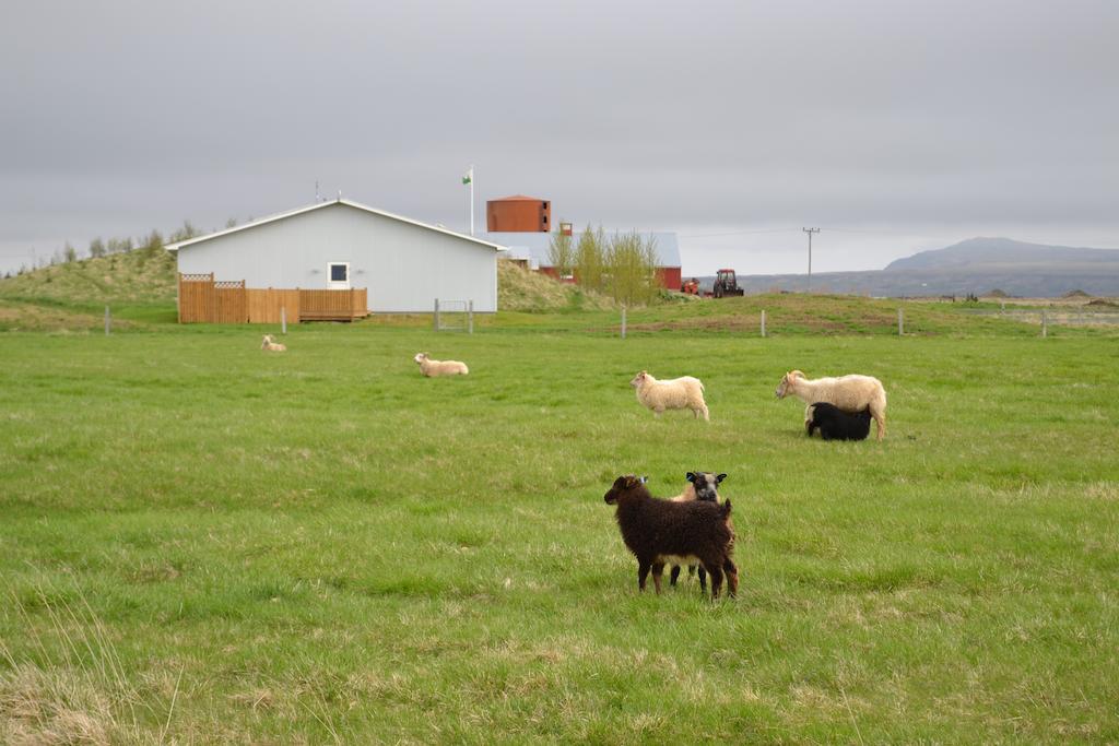 Lambastadir Guesthouse Selfoss Extérieur photo